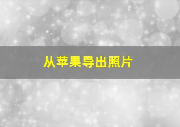 从苹果导出照片