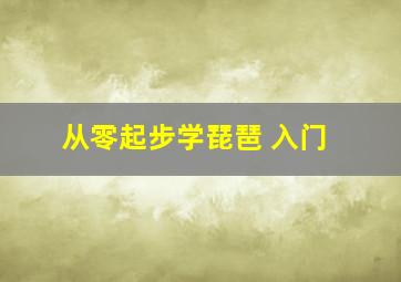 从零起步学琵琶 入门