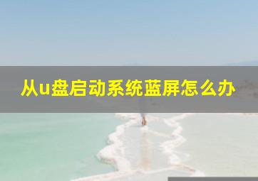 从u盘启动系统蓝屏怎么办