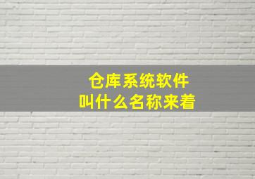 仓库系统软件叫什么名称来着