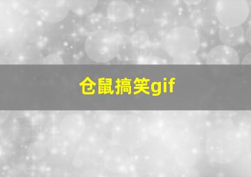 仓鼠搞笑gif