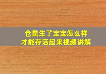 仓鼠生了宝宝怎么样才能存活起来视频讲解