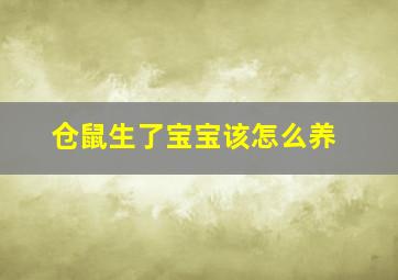 仓鼠生了宝宝该怎么养