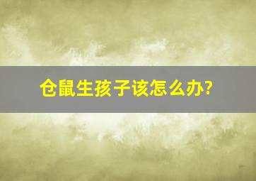 仓鼠生孩子该怎么办?