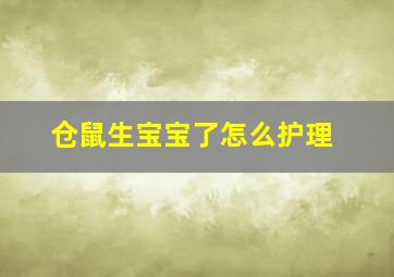 仓鼠生宝宝了怎么护理