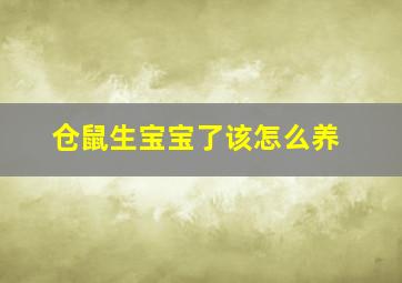 仓鼠生宝宝了该怎么养