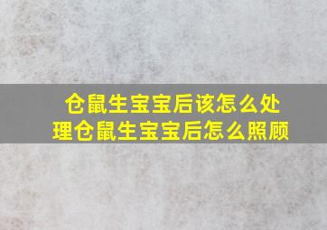 仓鼠生宝宝后该怎么处理仓鼠生宝宝后怎么照顾