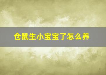 仓鼠生小宝宝了怎么养