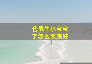 仓鼠生小宝宝了怎么照顾好