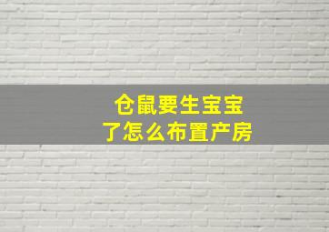 仓鼠要生宝宝了怎么布置产房