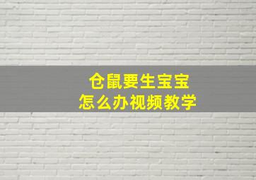 仓鼠要生宝宝怎么办视频教学