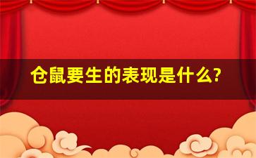 仓鼠要生的表现是什么?