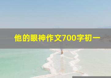 他的眼神作文700字初一