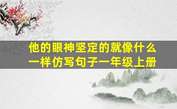 他的眼神坚定的就像什么一样仿写句子一年级上册