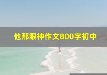 他那眼神作文800字初中