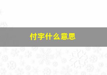 付宇什么意思