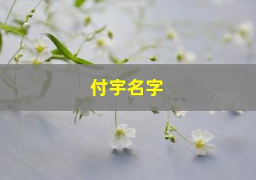 付宇名字