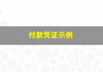 付款凭证示例