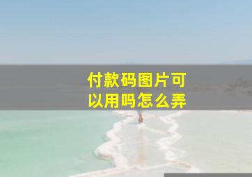 付款码图片可以用吗怎么弄