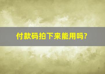 付款码拍下来能用吗?