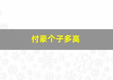 付豪个子多高