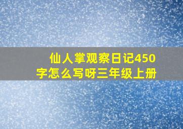 仙人掌观察日记450字怎么写呀三年级上册