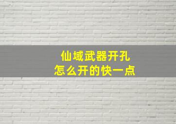 仙域武器开孔怎么开的快一点