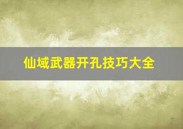 仙域武器开孔技巧大全