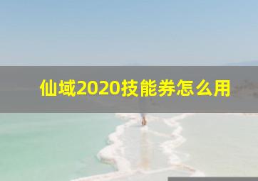 仙域2020技能券怎么用