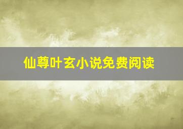 仙尊叶玄小说免费阅读