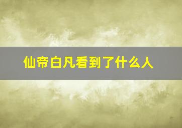 仙帝白凡看到了什么人