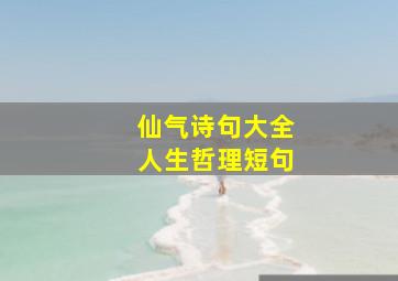 仙气诗句大全人生哲理短句