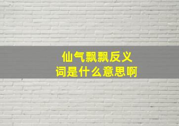 仙气飘飘反义词是什么意思啊