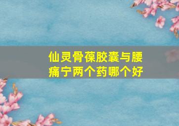 仙灵骨葆胶囊与腰痛宁两个药哪个好