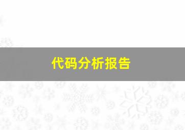 代码分析报告