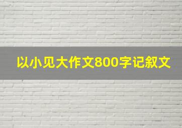 以小见大作文800字记叙文