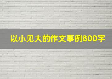 以小见大的作文事例800字