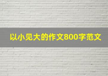 以小见大的作文800字范文