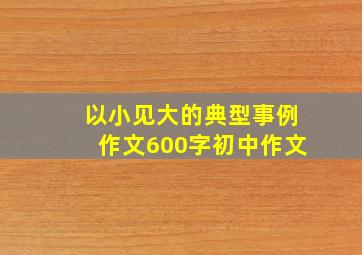 以小见大的典型事例作文600字初中作文