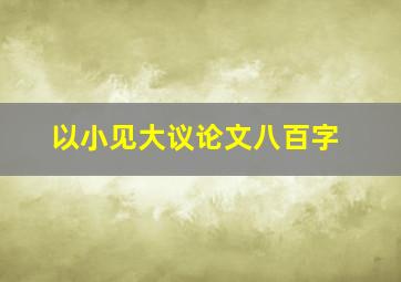 以小见大议论文八百字