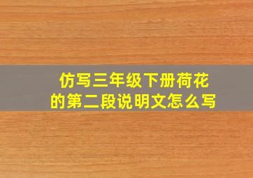 仿写三年级下册荷花的第二段说明文怎么写