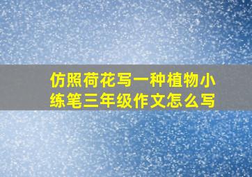 仿照荷花写一种植物小练笔三年级作文怎么写