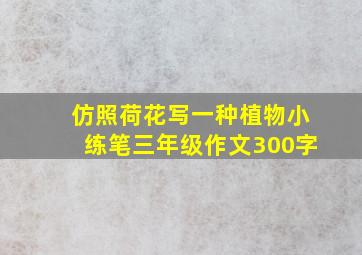 仿照荷花写一种植物小练笔三年级作文300字