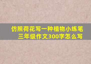 仿照荷花写一种植物小练笔三年级作文300字怎么写