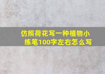 仿照荷花写一种植物小练笔100字左右怎么写