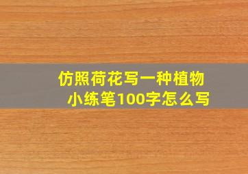 仿照荷花写一种植物小练笔100字怎么写