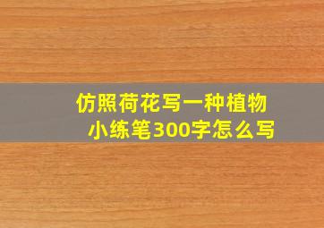 仿照荷花写一种植物小练笔300字怎么写