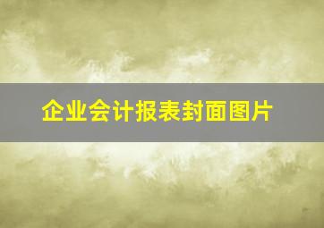 企业会计报表封面图片