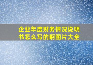 企业年度财务情况说明书怎么写的啊图片大全