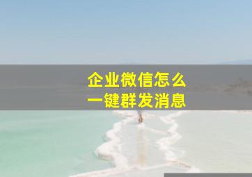 企业微信怎么一键群发消息